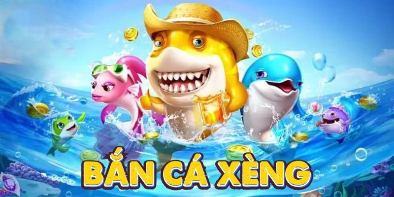 Các bước trở thành ngư thủ để bắt đầu hành trình săn cá