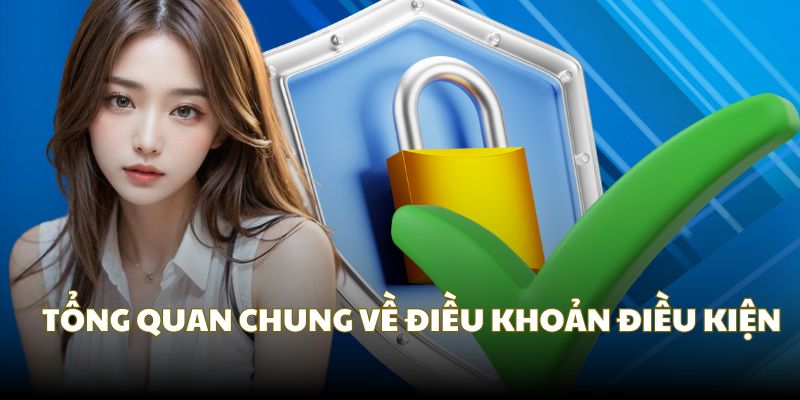 Tổng quan chung về điều khoản điều kiện QH88 