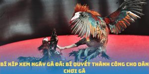 Bí Kíp Xem Ngày Gà Đá: Bí Quyết Thành Công Cho Dân Chơi Gà