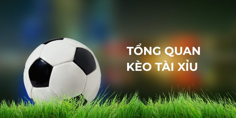 Giới thiệu tổng quan